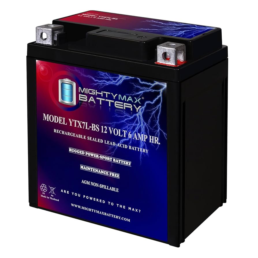 (モリプレスリー)アンフィニ R-Zero Battery Amazon.com: WPS Conventional 6V Standard Battery with Acid